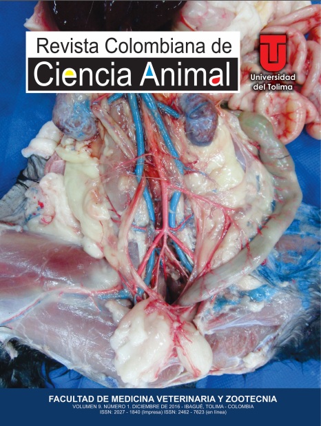 Imagen de necropcia de un felino. Daniel F. Chisco, Edwin F. Buriticá, Diego A. Ospina-Arguelles, Juan F. Vélez, M.Sc. Hernia diafragmática pleuroperitoneal congénita en un gato: Reporte de caso. RCCA, Vol. 9.